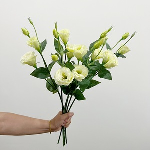 <span class=keywords><strong>Fiori</strong></span> Artificiali di Eustoma a 3 Teste, Stile Nordico, Alta Qualità, per Decorazioni Domestiche, Ispirati alla Lingua <span class=keywords><strong>dei</strong></span> <span class=keywords><strong>Fiori</strong></span> Yang - Product Image 1