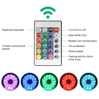 Chaud populaire 220V rvb LED bande lumière Flexible jardin Laser éclairage intelligent APP contrôle lumineux extérieur Cob néon fée Festival TV