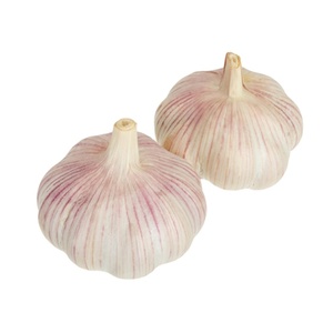 Ajo Fresco Entero Cultivado en Granjas de Shandong - Tipo Común - Product Image 2