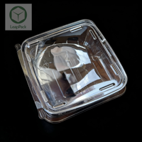 Contenitori Monouso in Plastica Trasparente con Coperchio a Cerniera, Antiappannamento, Ermetici, Rettangolari, per Hamburger, Pane e Alimenti Congelati