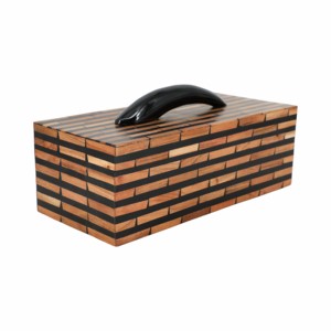 Scatola Decorativa Rettangolare con Manico a Corno, Moderna Scatola Portaoggetti in Resina per Gioielli e Ricordi, per Arredamento Casa - Product Image 1