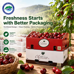 Scatola per Imballaggio di <span class=keywords><strong>Frutta</strong></span> Fresca Personalizzabile all'Ingrosso per Mango, Banana, Arancia, Pomodoro, Ciliegia, Cachi <span class=keywords><strong>e</strong></span> Verdure con Logo - Product Image 3