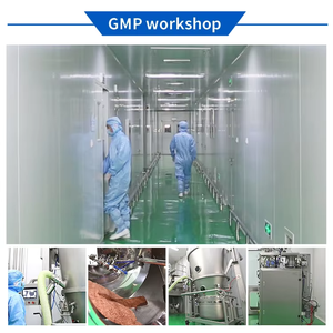 ชาดอกกระเพาะผีเสื้อธรรมชาติแบบ OEM บรรจุในถุงชา - อุดมด้วยแอนโทไซยานิน ชาสมุนไพรวีแกน เกรดอาหารเพื่อสุขภาพ สำหรับความงามและสุขภาพดวงตา - Product Image 5