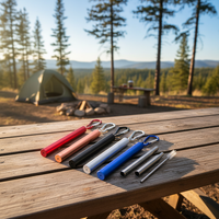 Accessoires de voyage écologiques de haute qualité Paille télescopique en acier inoxydable Pailles réutilisables