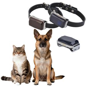 Localizador GPS para Mascotas G12, Portátil, Resistente al Agua IP67, Anti-Pérdida, Monitoreo Remoto de Gatos, de Fábrica - Product Image 1