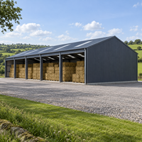 Structure en acier facile à installer, entrepôt, grange, atelier métallique à faible entretien, garage, abri, bâtiment agricole