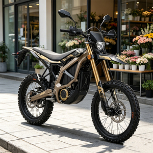 Motocicleta Eléctrica Ultra 2026, Color Dorado Arena/Negro, Suspensión Pro, 520 Nm de Alto Torque 1. Potencia Aumentada, Rendimiento de Aceleración Mejorado - Product Image 1