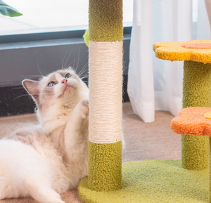 Durable Wholesale Cat Climbing Frame Mat Memory Foam Integrated Nest Flower Toy Breathable and Comfortable <strong>Pet</strong> <strong>Beds</strong> - Product Image 5