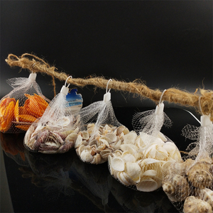 Conchas Marinas Exóticas Grandes al por Mayor, Conchas de Caracol Marinas Naturales para Decoración en <span class=keywords><strong>Venta</strong></span> - Product Image 6
