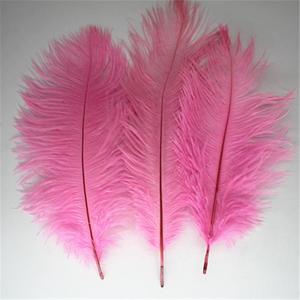 Vente en gros de plumes d'<span class=keywords><strong>autruche</strong></span> blanches naturelles pour décoration d'intérieur de festival de mariage 15-20cm - Product Image 5