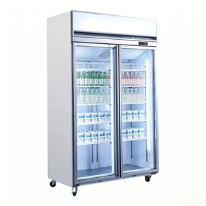 Réfrigérateur commercial à double porte avec compresseur monté en haut, réfrigérateur vertical pour boissons - Product Image 6
