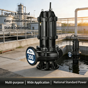 Pompe submersible à grand débit pour le nettoyage des étangs et des fosses septiques - Product Image 5