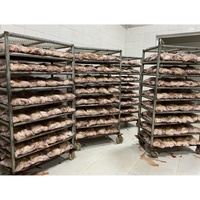 Équipement d'abattage de poulets halal sur mesure ODM OEM, ligne d'abattage de volailles clé en main avec une capacité de 300 à 1000 par heure