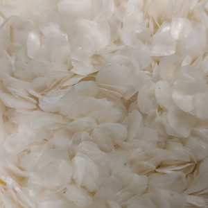 BEST SELLER HIGH QUALITY FISH SCALE SELLING <b>WELL</b> FROM VIETNAM/ FISH SCALE FROM VIET NAM RAW FISH SCALE - Product Image 1