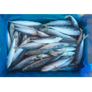 <span class=keywords><strong>Maquereau</strong></span> du Pacifique Congelé, Poisson Congelé, <span class=keywords><strong>Maquereau</strong></span> 400-600g, Vente en Gros de Fruits de Mer - Product Image 3