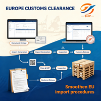 Transporte Marítimo DDP Puerta a Puerta, Agente de Transporte de China a Eslovenia y Europa