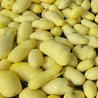 Industriële groente- en aardappelstoomschilmachine met pomp voor hoge productiviteit in voedselverwerkingsbedrijven