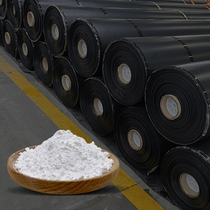 ผงใสทนความร้อนสำหรับงานเคลือบผิว ลดราคาตามฤดูกาล - รีบคว้าเลย - Product Image 6