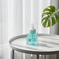 Le désinfectant pour les mains à bas prix contient de l'extrait naturel d'armoise, doux, antibactérien et purifiant.