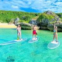 Vente en gros d'usine pas cher sup haute qualité sports nautiques planche de paddleboard claire et debout planche de paddl claire