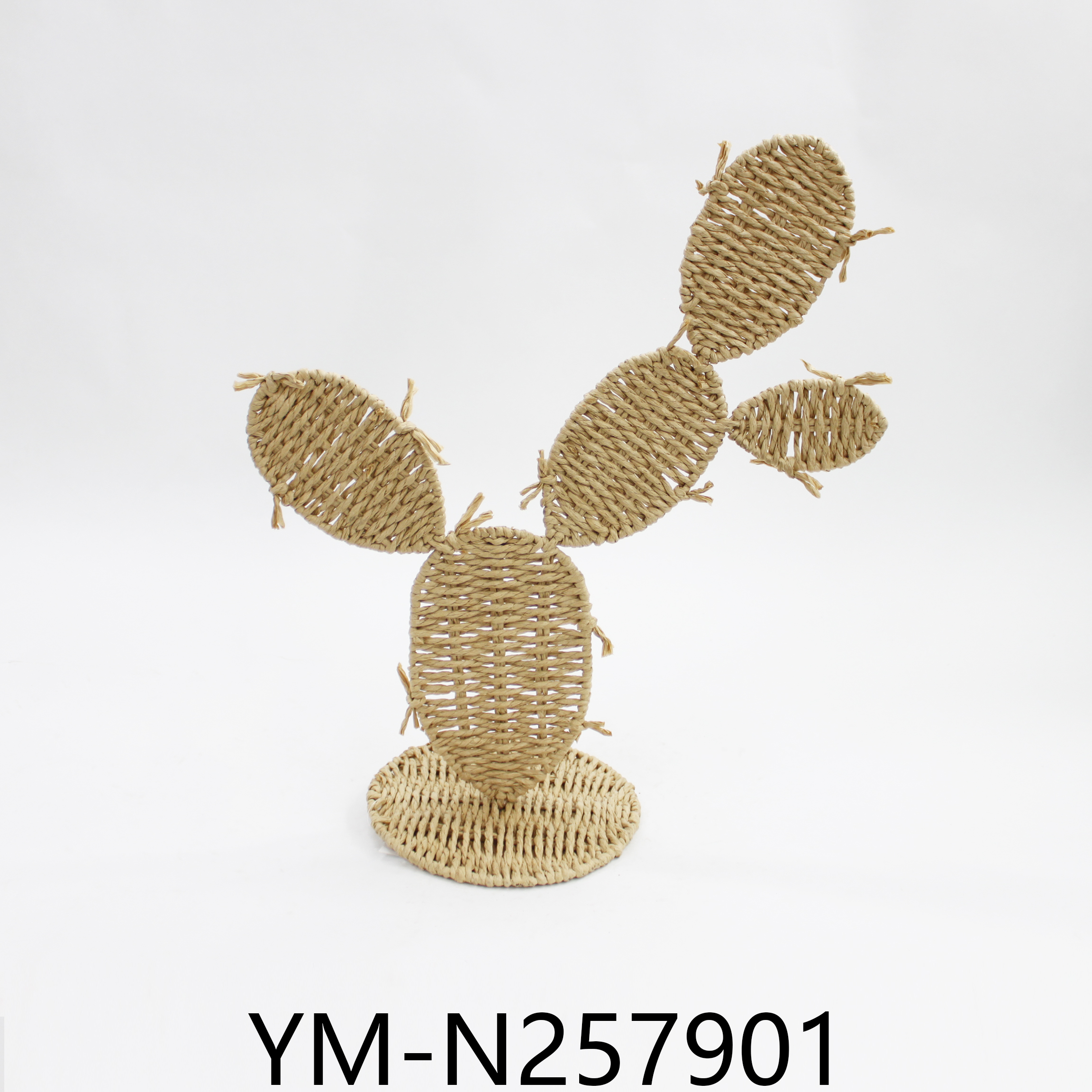 YM-N257901