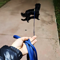 Laisse extérieure anti-casse pour chien, 1 cm, en cuir épaissi, motif réfléchissant, corde d'entraînement pour Labrador et grands chiens, chaîne en P