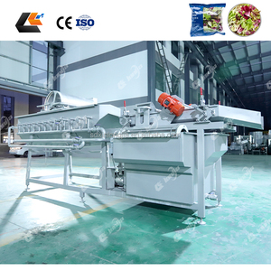 Affettatrice per Cavolo <span class=keywords><strong>Rosso</strong></span> in Acciaio Inox SUS304, Macchina per Lavaggio e Pulizia di Carote e Foglie, Preparatore di Insalata di Frutta, Linea di Lavorazione Insalata Fresca - Product Image 6