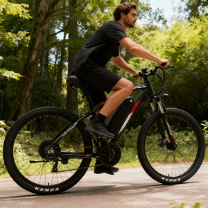 激安セール中！27.5インチ 21速 ディスクブレーキ 電動マウンテンバイク 大人用電動自転車 - Product Image 3