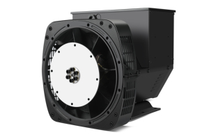 Fabbrica prezzo a buon mercato di alta qualità BSN <span class=keywords><strong>KAL</strong></span> 22kw 27.5kva generatore alternatore - Product Image 6
