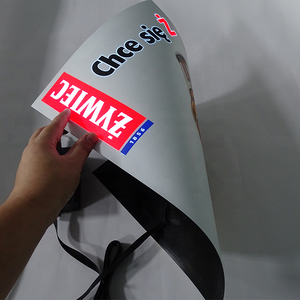 厚さわずか0.5mmの非常にフレキシブルなエレクトロルミネッセンスパネルのペプシフラッシュ広告ディスプレイ - Product Image 5