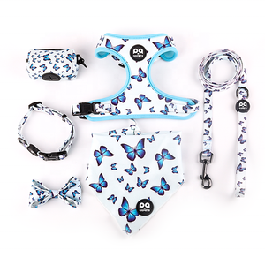 Conjunto de Arnés, <span class=keywords><strong>Collar</strong></span> y Correa para Perro Personalizado QQPETS por Sublimación, Diseño Anti Tirones, Equipo Prémium de Malla de Poliéster/Nailon para Mascotas - Product Image 6