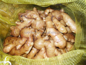 Chất Lượng Cao Tươi Trung Quốc Gừng Trên Bán <span class=keywords><strong>2025</strong></span> Cây Trồng Mới Hữu Cơ Tỏi - Product Image 6