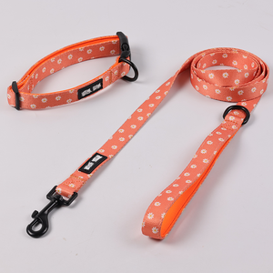 Collar Ajustable para Perro Pequeño, Conjunto de Correa y Correa de Metal, Productos para Mascotas, Respetuoso con el Medio Ambiente - Product Image 5