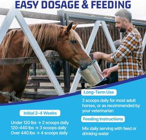 <strong>Horse</strong> Joint Supplement <strong>Glucosamine</strong> MSM Chondroitin Daily Equine Immune Support Easy-to-Feed Soft Chews 750g <strong>for</strong> Large - Product Image 6