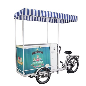 Tricycle électrique mobile pour crème glacée avec moteur de 250 W, <span class=keywords><strong>chariot</strong></span> à crème glacée, vélo pour boissons fraîches - Product Image 3