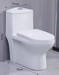 สุขภัณฑ์ชิ้นเดียวแบบ Washdown สำหรับห้องน้ำในบ้าน - Product Image 6