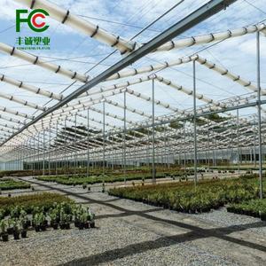 Bâches de serre en <span class=keywords><strong>plastique</strong></span> poly <span class=keywords><strong>tunnel</strong></span> renforcé résistant aux UV automatisé <span class=keywords><strong>pour</strong></span> la culture de légumes tomate concombre - Product Image 1