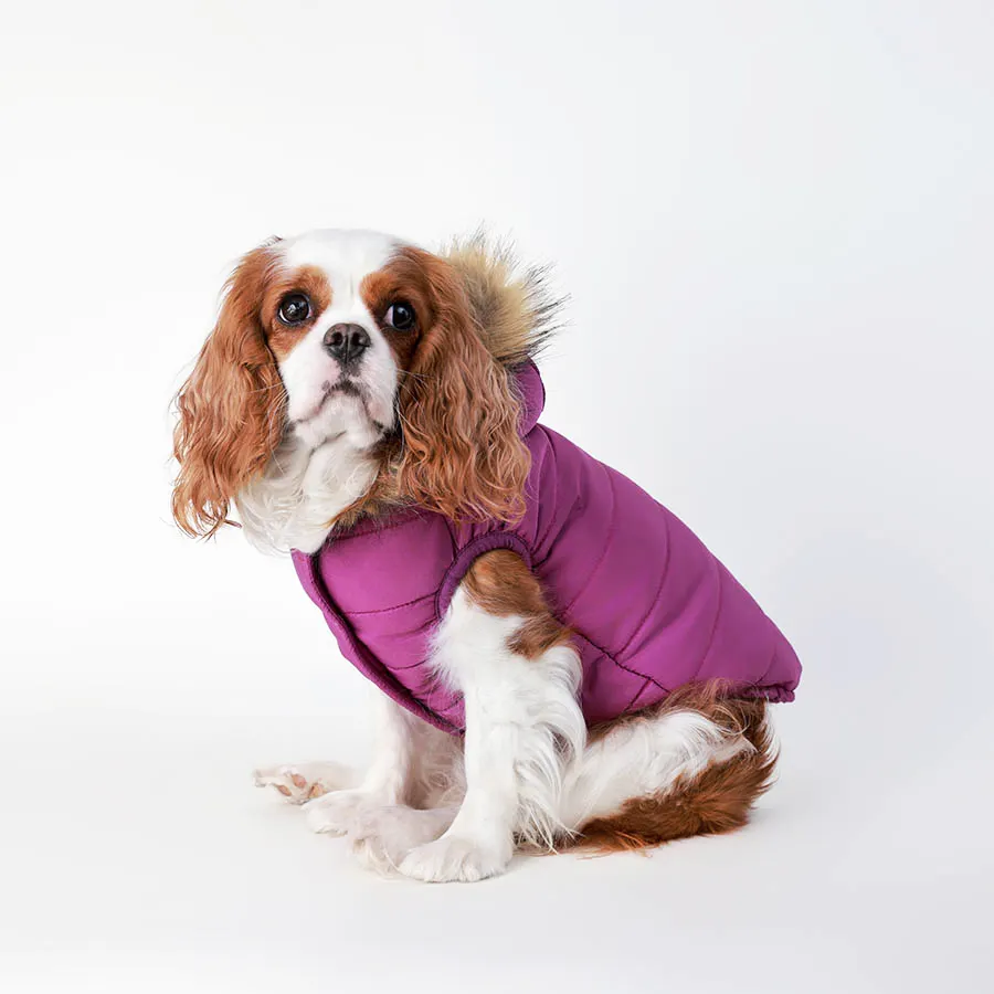 Jaket bulu domba musim dingin hangat dipertebal OEM jaket anak anjing ritsleting satu potong sweter untuk anjing dengan pola cetak