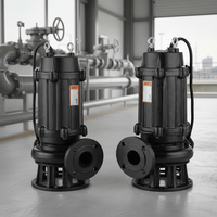 Pompe submersible électrique en fonte robuste sur mesure 220V 380V 440V pour l'aspiration de boue et l'évacuation des eaux usées
