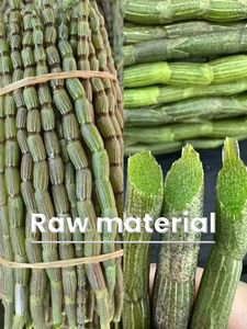 Erbe naturali preziose migliora l'immunità <span class=keywords><strong>Dendrobium</strong></span> Officinale estratto di 25%-98% <span class=keywords><strong>Dendrobium</strong></span> polisaccaride - Product Image 3