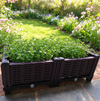 Jardinière rectangulaire surélevée en PP avec trous de drainage et système d'auto-arrosage, durable, légère, écologique, pour usage intérieur/extérieur
