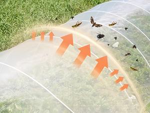 HDPE 방충망 30메쉬 그늘막 해충 방지 이중 기능 농업 터널 농장 플라스틱 쉐드 단층 대형 - Product Image 6