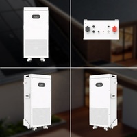 Batería de Litio Montada en Pared Dyness de 16.07 kWh Recargable 51.2V 314Ah, Paquete de Baterías de Iones de Litio para Sistema Solar Doméstico