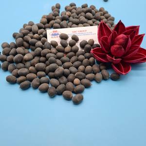 ผู้ส่งออกเมล็ดบัวดำชั้นนำ ราคาแข่งขัน จากเวียดนาม - Product Image 1