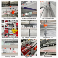 Cage d'élevage multi-niveaux de type H à conception automatique pour poussins, idéale pour les grandes exploitations avicoles et l'élevage de poulets pondeurs