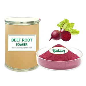 Wholesale Super Food Grade 20:1 Red Beet Organic Root Beetroot Juice Extract Powder 10:1 20:1 50:1