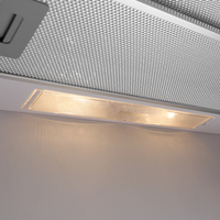 Hotte de Cuisine 600 mm en Acier Inoxydable Prix Usine, à Extraction d'Air Puissante pour Meuble Haut Intégré