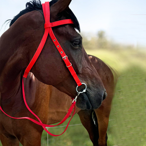 Bridon d'entraînement pour chevaux, design durable et confortable, cuir véritable de haute qualité, personnalisable, OEM NAFKO - Product Image 5