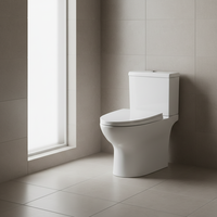 Ensemble de toilette moderne de haute qualité, articles sanitaires salle de bain deux pièces cuvette de toilette placard à eau Wc