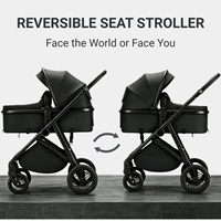 Poussette 2-en-1 Passing Love pour bébé, cadre en acier durable, légère, avec grand panier, idéale pour les promenades quotidiennes